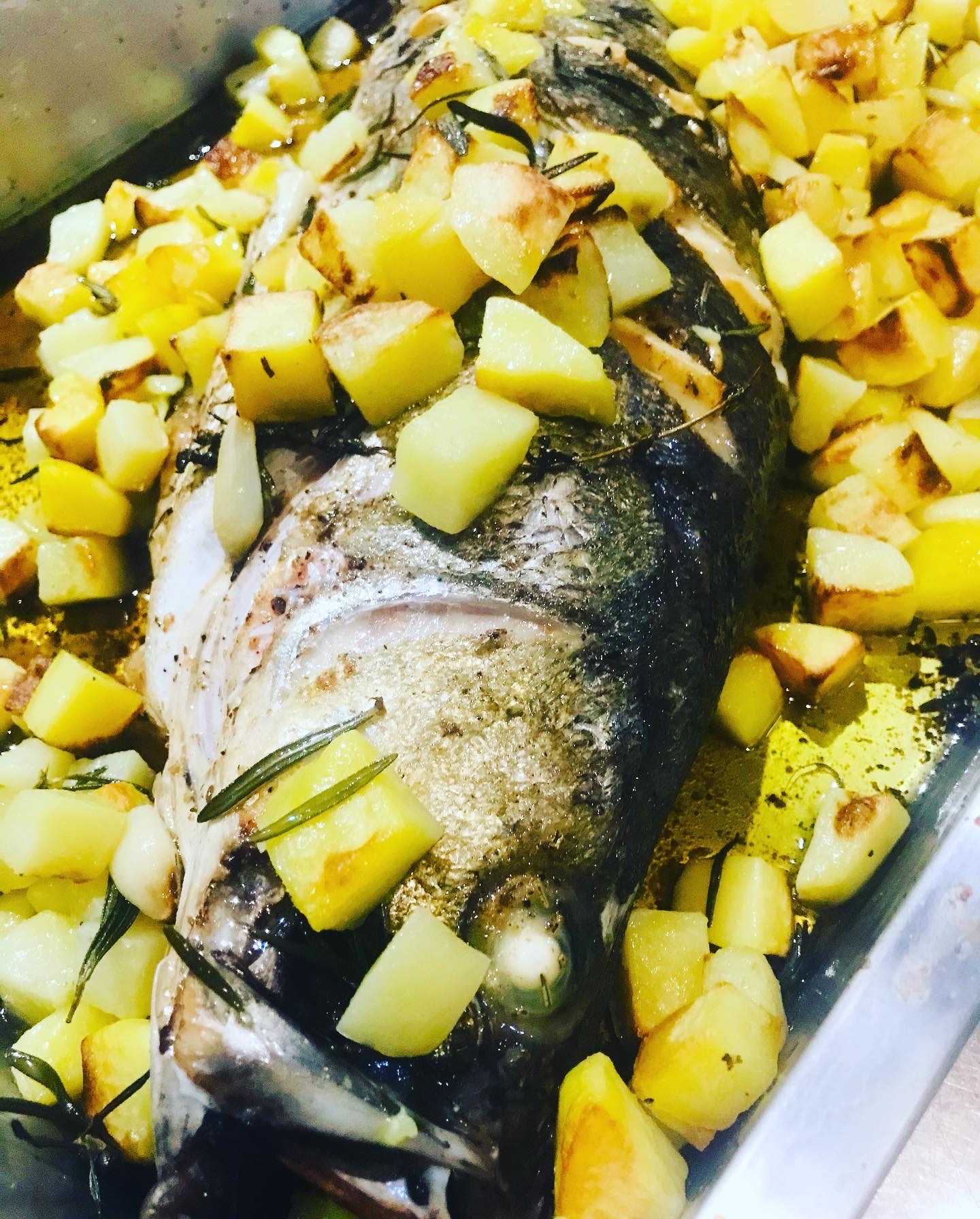 737EF228-9815-4201-859F-8C69E07F405E