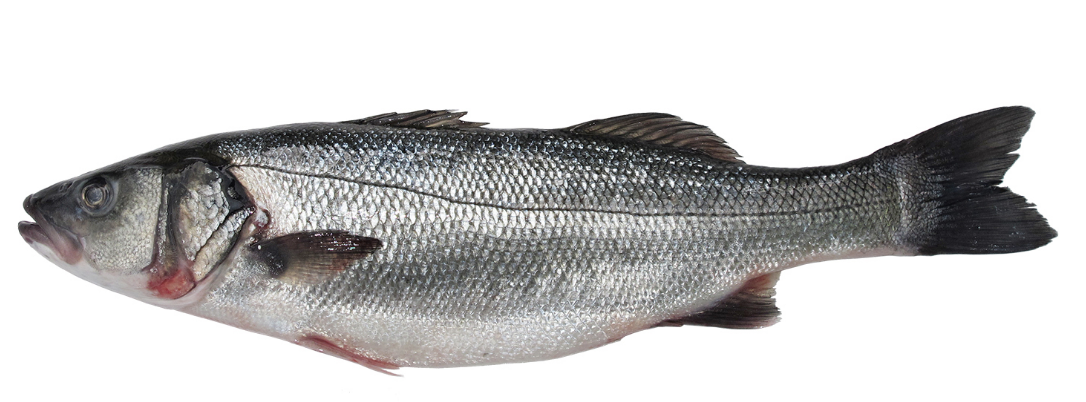 Schermata 2024-01-15 alle 12.47.09